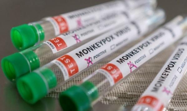 Ministro da diz que Brasil terá antiviral para tratar varíola dos macacos