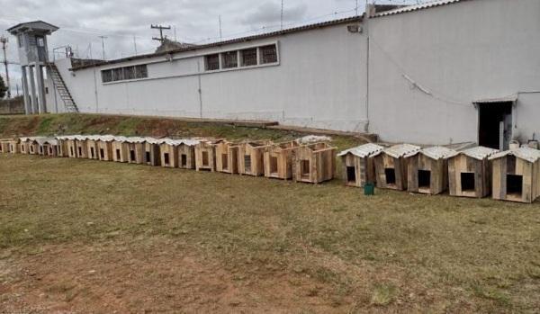 Valéria de Bortoli realiza entrega de casinhas confeccionadas por apenados