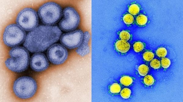 Ijuí confirma Dois casos de FLURONA, contaminação de Covid-19 e Influenza