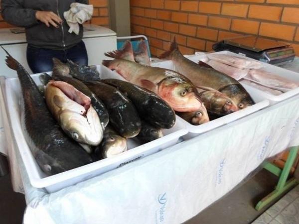 Próxima semana tem feira do peixe em Cruz Alta