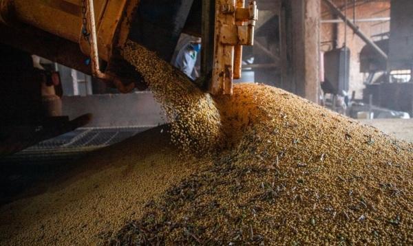 Safra de grãos deve superar 271 milhões de toneladas, estima Conab