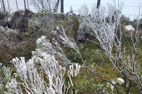 Primeira neve do ano é registrada na serra catarinense 