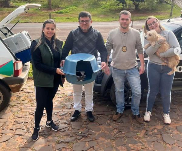 Agentes da Polícia Civil resgatam animais abandonados em Cruz Alta