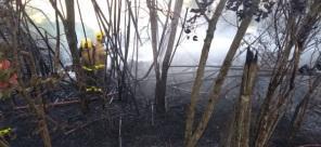 Corpo de Bombeiros combateu incêndio em vegetação no Bairro Tamoio