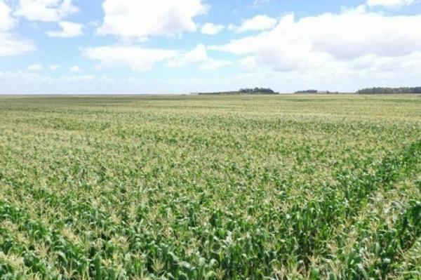 Economia brasileira cresce 2,9% em 2023