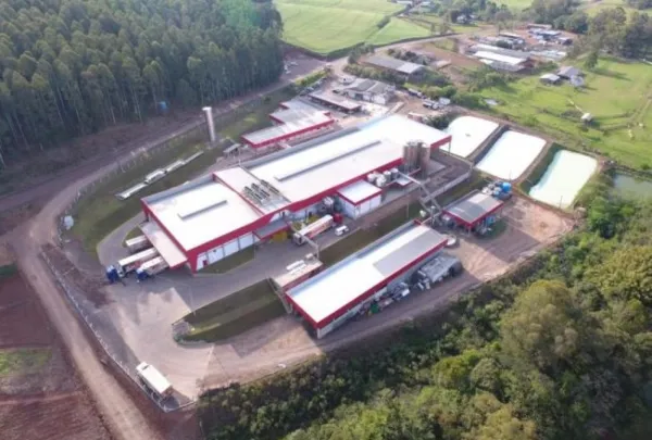 Indústria de laticínios Friolack de Chapada pede recuperação judicial 