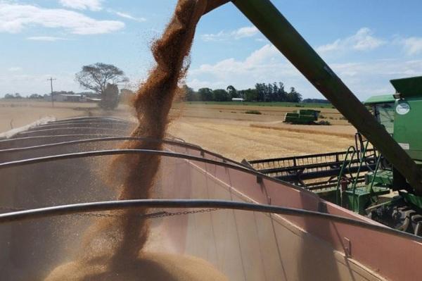 PIB do país cresce 1,9% no primeiro trimestre impulsionado pela agropecuária