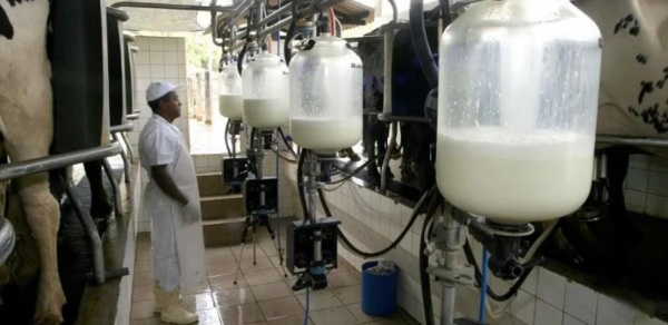 Estado chamará reunião com produtores para discutir liberação do Fundoleite