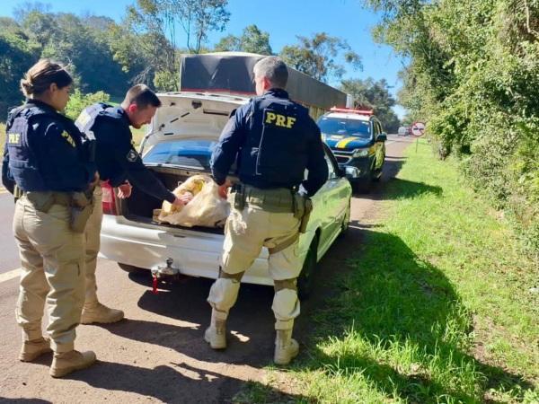 PRF prende indivíduo  e apreende maconha e skunk na BR-386 em Sarandi