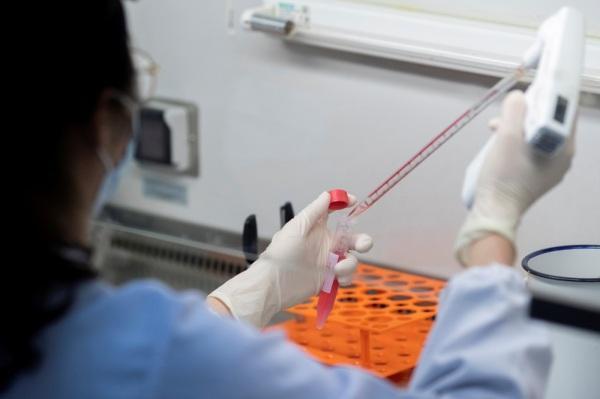 Farmacêutica anuncia testes de terapia à base de anticorpos contra a Covid-19
