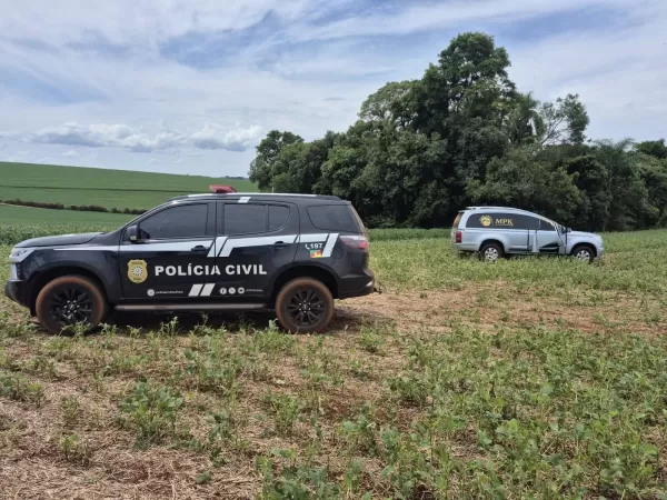 VIOLÊNCIA> Cruz-altense é encontrado morto às margens da ERS-506 em Ibirubá