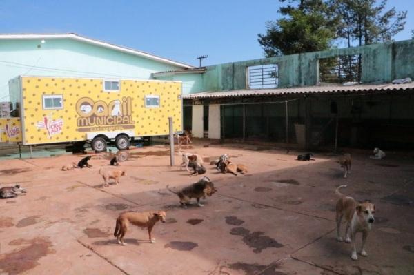 Centro de Recuperação e Bem-Estar Animal realiza intenso trabalho de castração