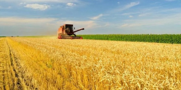 AGRONEGÓCIO> Governo anuncia Plano Safra com R$ 476,5 bilhões
