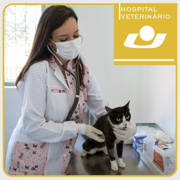 Hospital Veterinário da Unicruz disponibiliza novos horários de atendimento