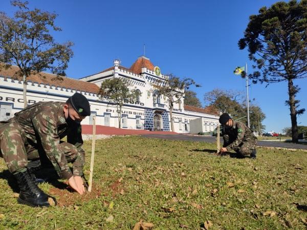 29ª GAC AP realiza plantio de 100 mudas de árvores nativas