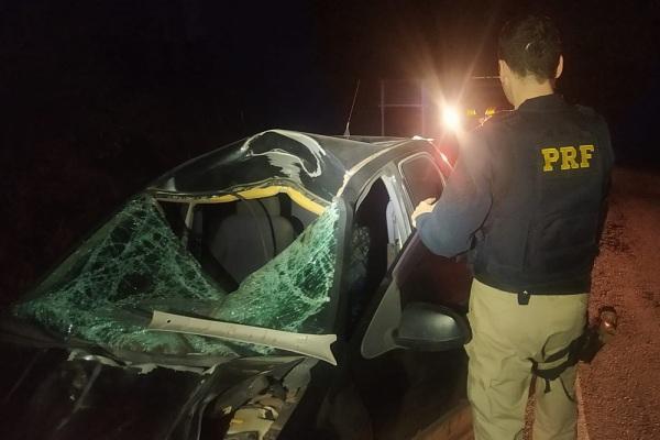 Carro com placas de Cruz Alta se envolve em acidente com cavalo na BR-287,