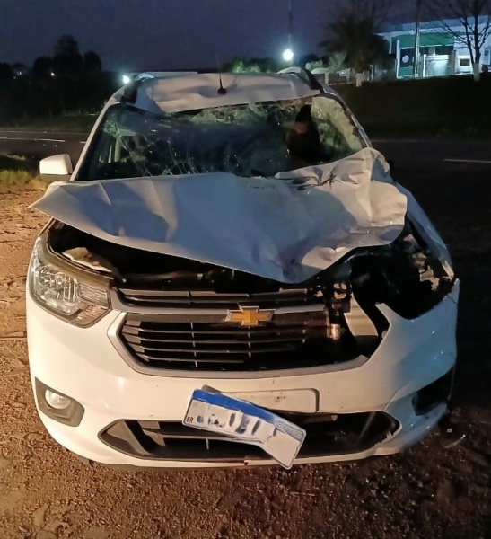 PRF atende acidente de atropelamento de animal na BR-158 em Cruz Alta
