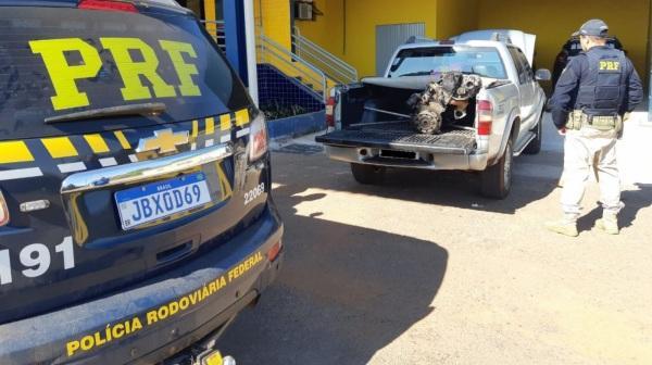 Polícia Rodoviária Federal prende homem e recupera caminhonete em Cruz Alta
