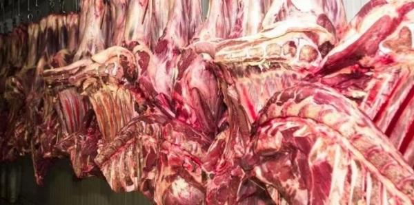 Exportação de carne bovina cresce 25,9% no primeiro trimestre