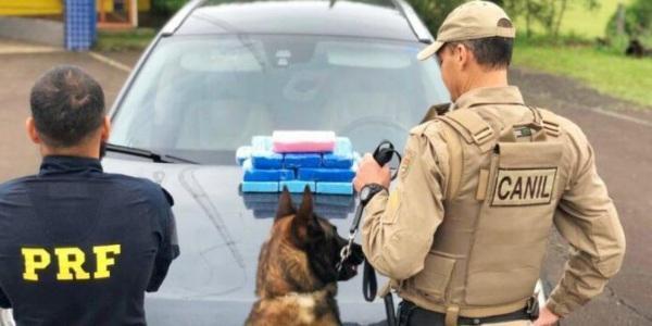 Cruz Alta era o destino final de 17 quilos de cocaína apreendidos em SC