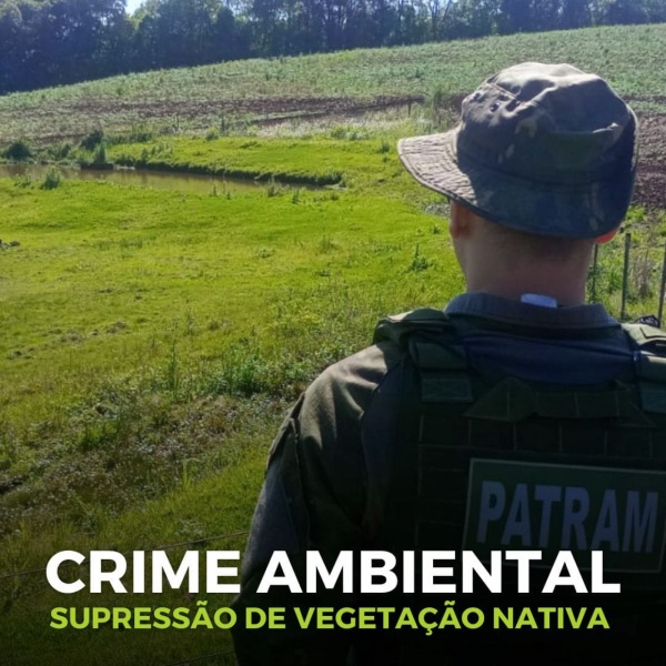 FISCALIZAÇÃO E COMBATE AO DESMATAMENTO>3ºBABM atua em Ibirubá e  Santa Bárbara