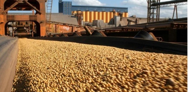 AGRONEGÓCIO> Nova safra deve alavancar exportação de soja