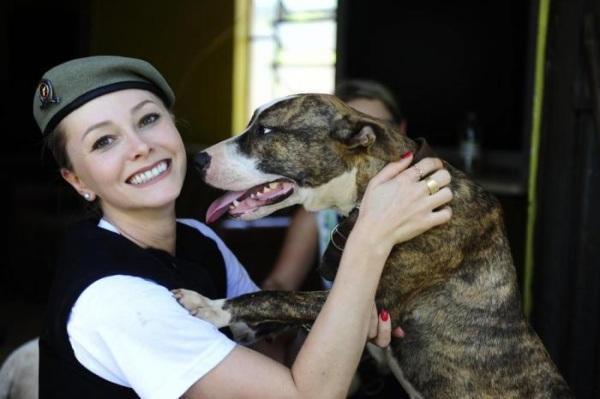 Abandonadas, pitbulls que eram de criminosos mortos, são resgatadas.