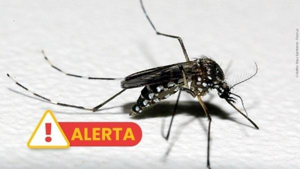 DENGUE EM ESTADO DE ATENÇÃO: RS registra segunda morte em menos de uma semana