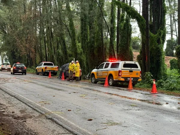 Motorista morre após árvore atingir carro na RSC-377