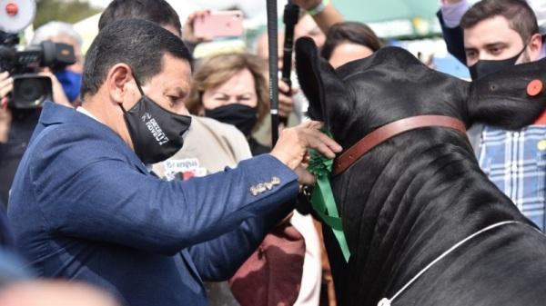 Em visita à Expointer, Mourão comemora retorno do público ao parque