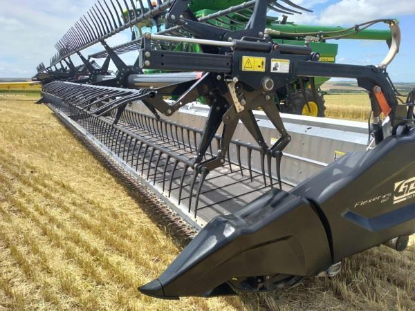 Abertura da Colheita do trigo é adiada devido a instabilidade climática