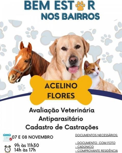 Dívidas do Fies podem ser renegociadas a partir desta terça-feira