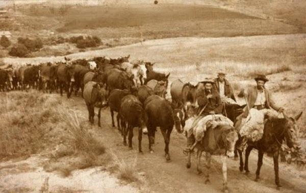 Pela primeira vez em C. Alta, Seminário Nacional de Tropeirismo começa quarta
