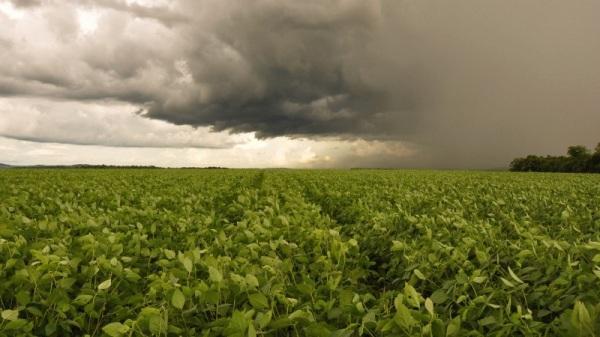 Campo seguirá sentindo efeitos do El Niño, segundo os meteorologistas