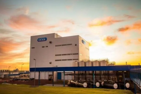 CCGL efetua pagamento e distribui mais de R$ 30 milhões a produtores de leite