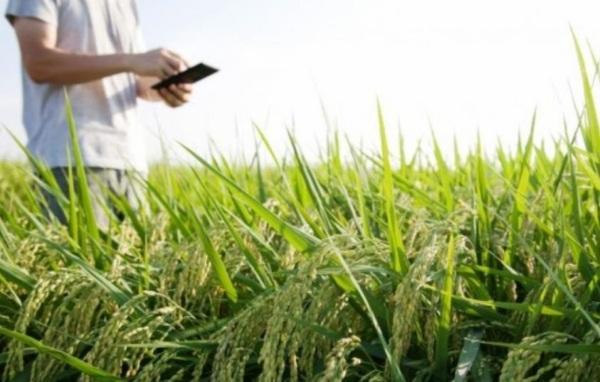 Senar: inscrições para o Curso Técnico em Agronegócio encerram hoje