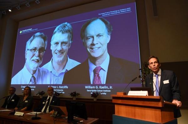 Nobel de Medicina vai para estudo que ajuda no tratamento de anemia e câncer
