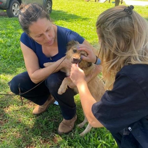 Projeto Bem Estar nos bairros estará hoje no Bairro Acelino Flores