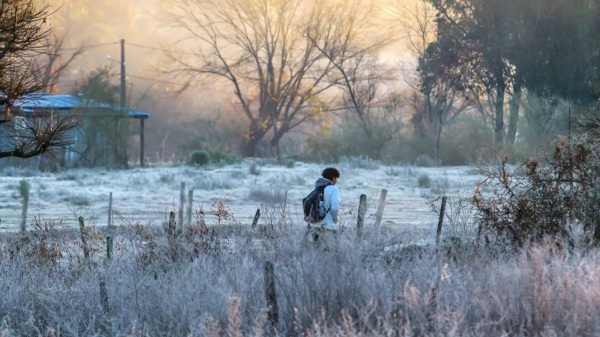 Frio Extremo no Rio Grande do Sul> Geada e Sensação Térmica Negativa