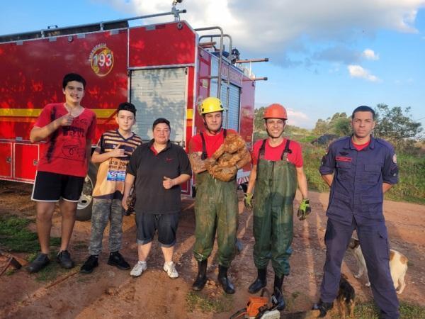 Bombeiros de Cruz Alta resgatam cão cego que caiu em buraco no feriado