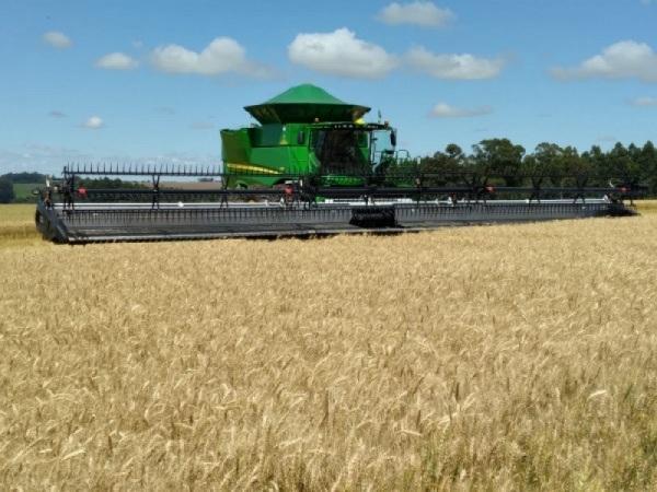 FENATRIGO: Abertura Oficial da Colheita do Trigo no RS acontece hoje