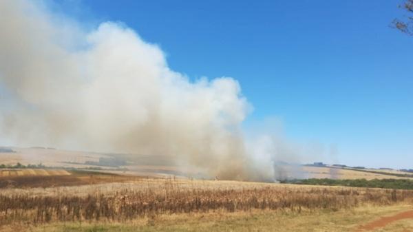 Fogo em vegetação no interior de Cruz Alta é combatido pelos Bombeiros