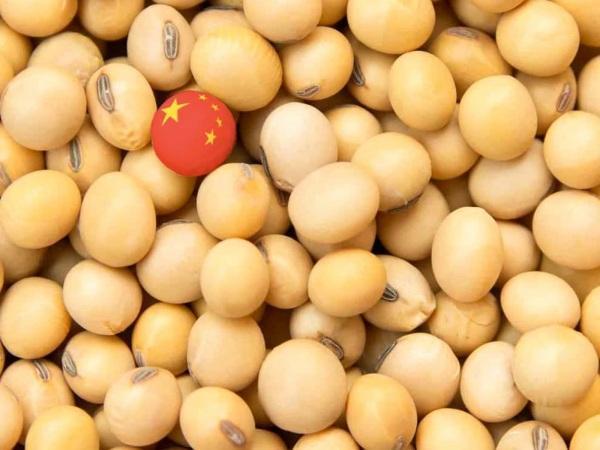  China busca soja do Brasil para embarque março/21