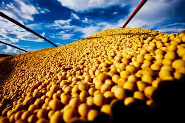 SAFRA: Conab estima aumento de 48% na safra gaúcha de grãos