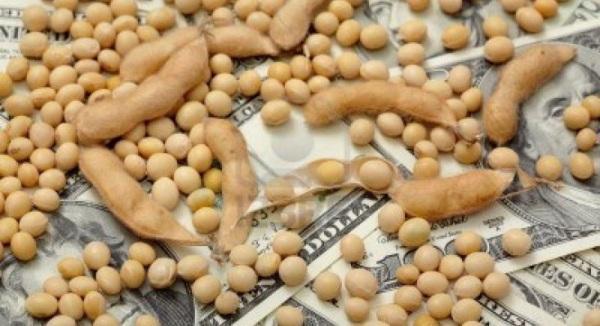 Soja sobe mais de 1% em Chicago nesta 3ª feira.