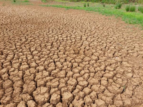 Audiência Pública em apoio aos agricultores atingidos pela estiagem será hoje 