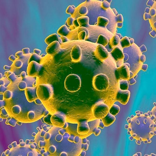 Número de infectados passa de 700 mil no Brasil