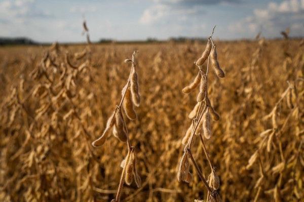 Programa Campo Futuro conclui coleta de dados no RS