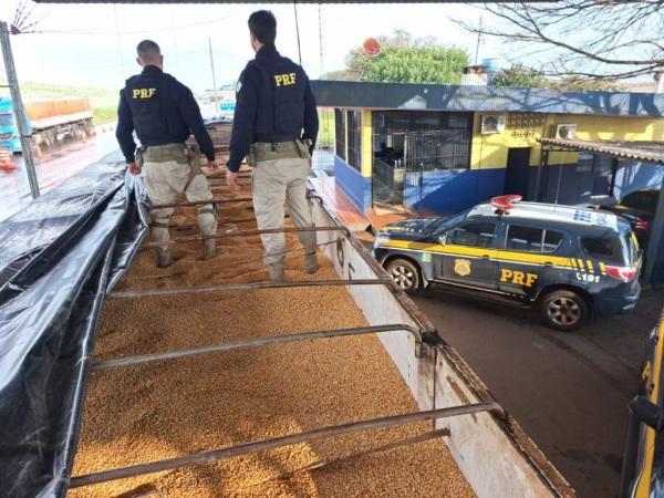 Polícia Rodoviária Federal apreende quase uma tonelada de maconha em Seberi