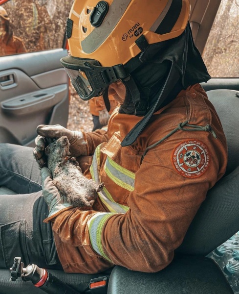 Bombeiro de Cruz Alta auxilia no combate a incêndios no Centro-Oeste do país
